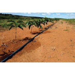PROJETO DE IRRIGAÇÃO AGRÍCOLA ATÉ 10 HECTARES PROJETO DE IRRIGAÇÃO AGRÍCOLA ATÉ 10 HECTARES