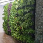 Finalizada a instalação deste lindo Jardim Vertical com módulos plasticos e irrigação automática.